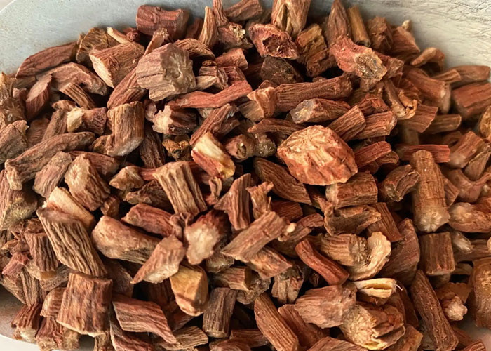 每天认识一味中草药——丹参